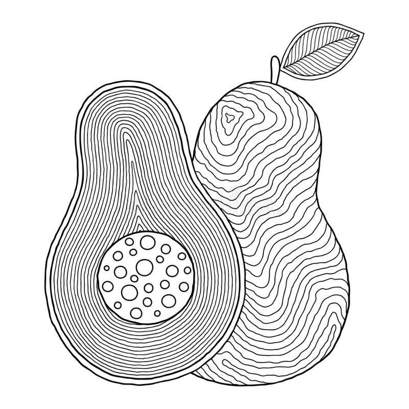 Online coloring book: Coloring avocado with stripes